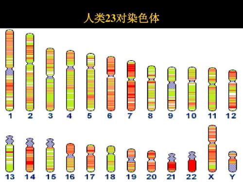 基因检测常识——十一种常见的染色体核型分析报告解读