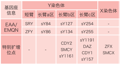 图片13.png
